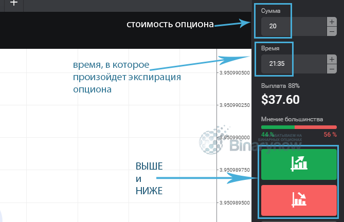 Все установки в терминале